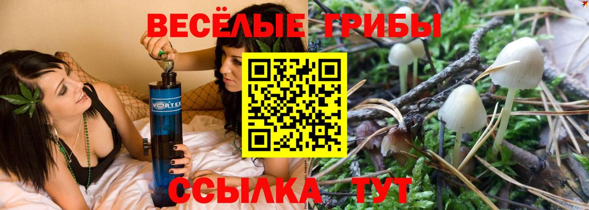 Псилоцибиновые грибы Psilocybine cubensis  Вход с VPN  Туймазы 